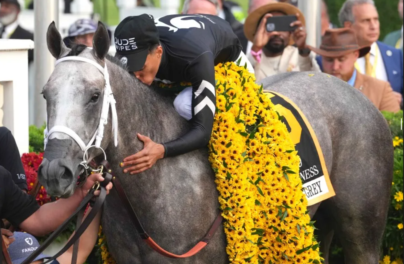horses racing