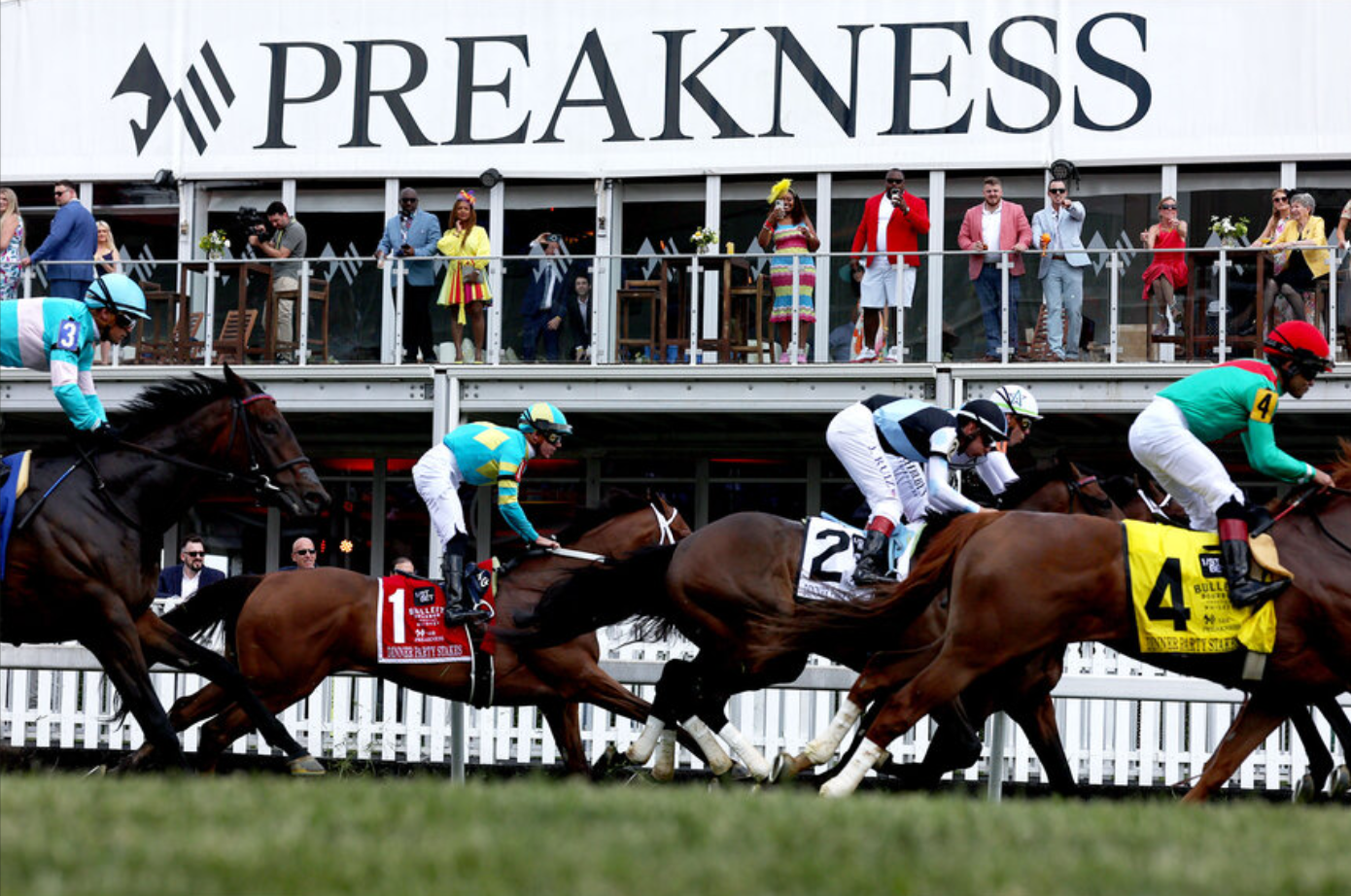 horses racing